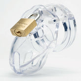 The CB Mr Stubb Premium Customizable Chastity Cage Kit Male Chastity